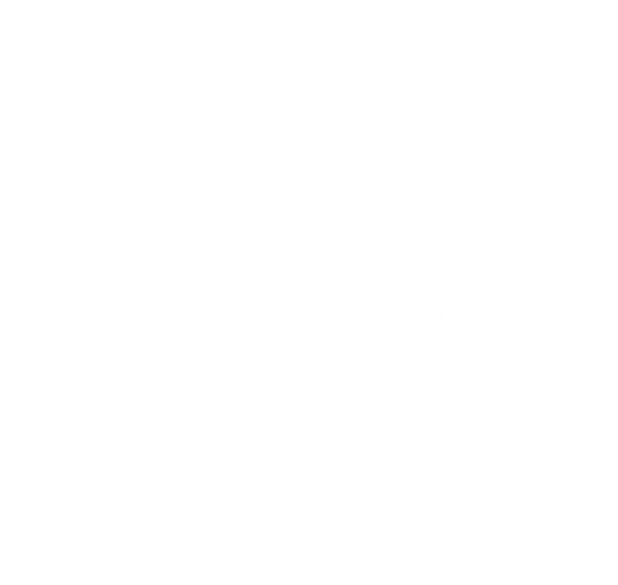 Gutter Cleaning & Repair