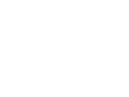 Elevated Gutter Protection